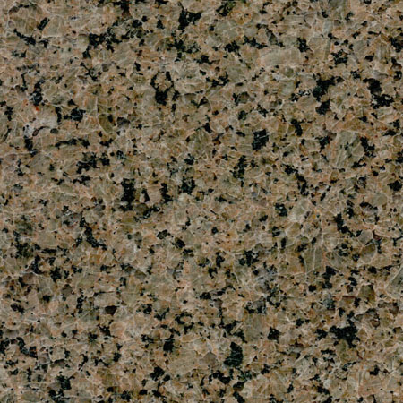 Tropic Brown